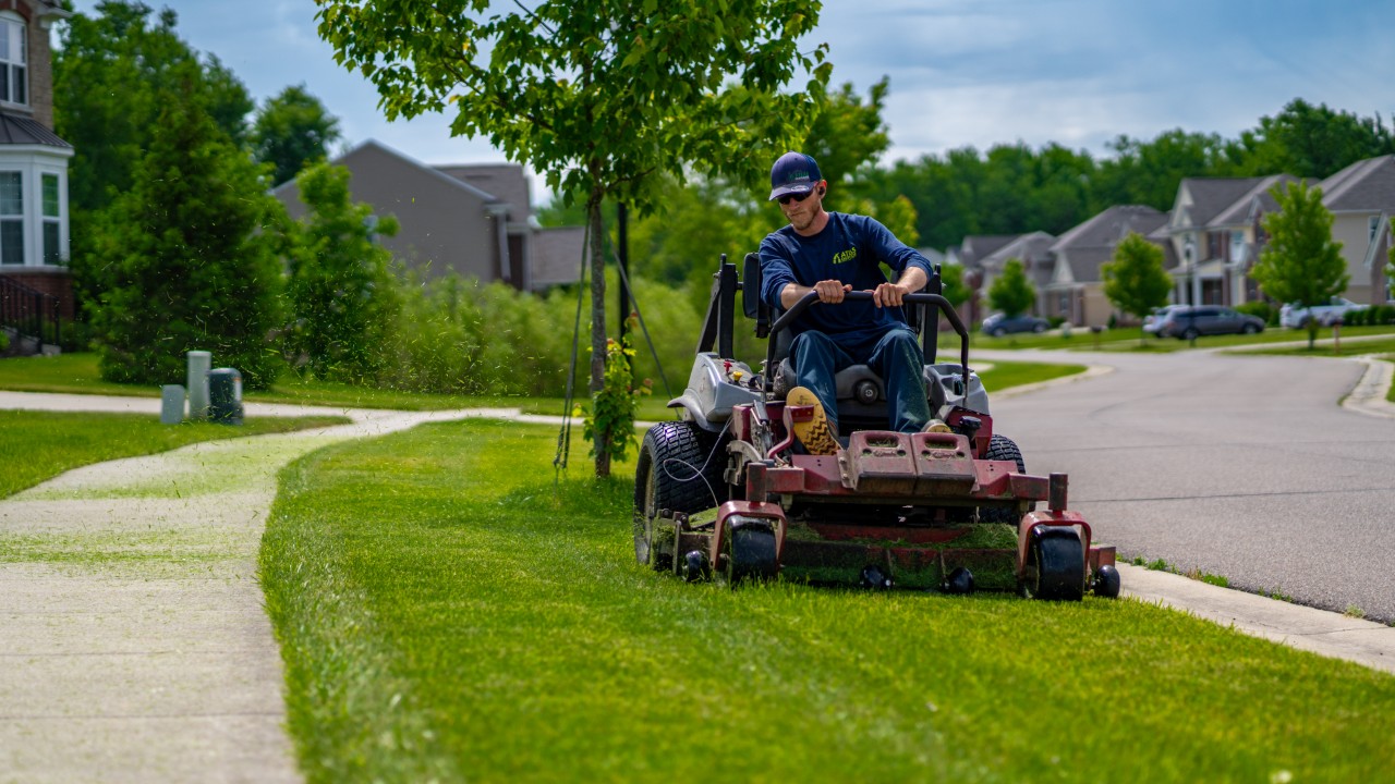 Lawn Maintenance Services